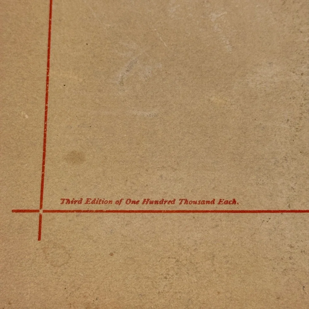 H. D. Perky The Vital Question Antique 1897 Tan Shredded Wheat Cookbook Advert